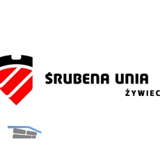 EN14399-6-HV M12 feuerverzinkt HV-Scheibe Fabrikat Srubena