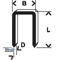 BOSCH Klammern Typ 55 Lnge 19 mm Breite 6 mm