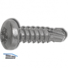 DIN7504M 4.8x 25 Torx25 Edelstahl A2 Linsen-Bohrschraube
