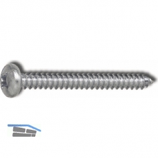 DIN7981C 4.8x 45 PH-Kreuzschlitz verzinkt Linsen-Blechschraube ~ISO7049