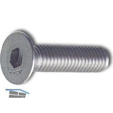 ISO10642 M 4x 35 Edelstahl A2 Senkschraube mit Innensechskant (~DIN7991)