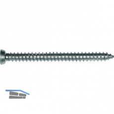 Rahmenanker 7.5x132 Senkkopf 11 Torx30 verzinkt fr dbellose Verschraubung