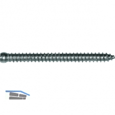 Rahmenanker 7.5x132 Zylinderkopf 7.5 Torx30 verzinkt dbellose Verschraubung