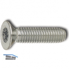 ISO14581 8.8 M 6x45 Torx 30 verzinkt Senkschraube