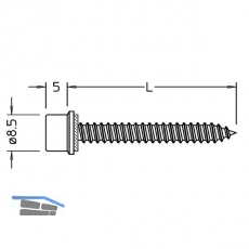 Blechtreibschrauben mit Dichtstck fr Grundprofil, 5,5 x 25 mm, Edelstahl