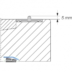 HAUTAU ATRIUM HS 300 Laufschiene Nr. 27 Holz, H=5mm, L=6500 mm, silber eloxiert