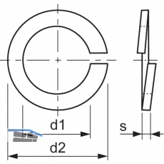 DIN 127B M14 Edelstahl A4 Federring mit glatten Enden