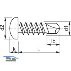 DIN7504M 4.2x 22 Phillips-KS verzinkt Linsen-Bohrschraube ~ISO15481