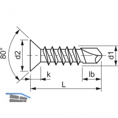 DIN7504O 4.8x 22 Torx25 verzinkt Senkkopf-Bohrschraube