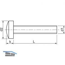ISO14583 4.8 M 4x12 Torx 20 verzinkt Linsenschraube (DIN7985A)