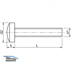 ~ISO7045 4.8 M 8x 70 Phillips Kreuzschlitz verzinkt Linsenschraube (DIN7985A)