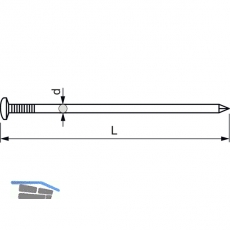 Drahtstift Halbrundkopf 1.6x16 Messing blank