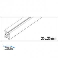 EKU REGAL C 26 Einfach- Lauf-/Führungsschiene, 2500 mm, Aluminium eloxiert