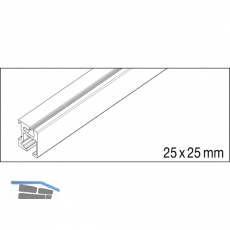 EKU REGAL C 26 Einfach- Lauf-/Fhrungsschiene, 2500 mm, Aluminium eloxiert