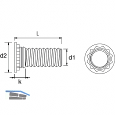 HA-CO Einpressgewindebolzen M3x10 mm verzinkt