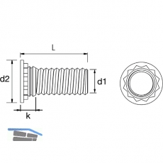 MARKTECH Einpressgewindebolzen M4x12 mm verzinkt