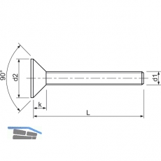 ISO14581 8.8 M 6x10 Torx 30 verzinkt Senkschraube