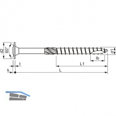 SPEED Holzbauschraube Tellerkopf 10x380 TG TX40 EFP-beschichtet mit Zulassung