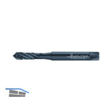 WALTER PARADUR X-pert M Maschinengewindebohrer HSS-E DIN371 verst.Schaft re. M6