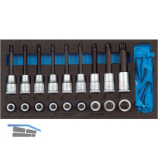 GEDORE 1/3 Check-Tool- Modul EI 1500 CT1-ITX19LKP L Breite 157,5 mm Tiefe 310 mm