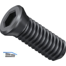 FEIN Klemmschraube SX