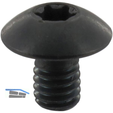 ENT Gro�kopfschraube M 4x5,9 mm zu Wepla Fr�ser