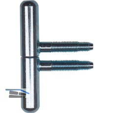 SFS Einbohr Zierband 14 mm, Typ Nussband, Stahl verzinkt