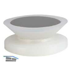 Glaspunkthalter Mini, 20 mm,6 - 8 mm Glas,Kunststoff transparent/Kappe Edelstahl