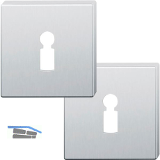 FSB Buntbartrosette quadratisch 12 1704 00002 ASL, Edelstahl matt