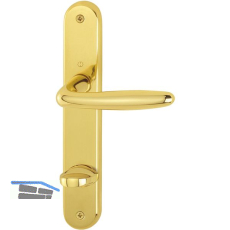 HOPPE Dr�ckergarnitur ROISSY - auf Schild WC 90, rechts, Messing poliert