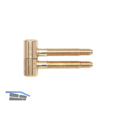 SOLIDO Einbohrband 2-tlg. mit Zylinderkopf, Holz, 16 mm,Stahl glanzvermessingt