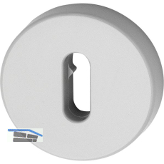 HEWI Schl�sselrosette 306.23 - lichtgrau