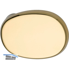 MARCHESI T�rknopf gekr�pft oval, 51 x 81 x 47, Edelstahl Messing poliert