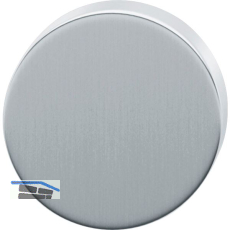 Blindrosetten Edelstahl, Kunststoff Unterkonstruktion, � 52 x 10 Edelstahl