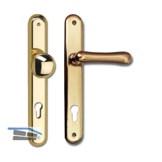 Haust�rwechselgt. ELEGANT 22 - auf Langschild PZ88, Messing poliert