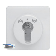 HAUTAU Schl�sseltaster ST 010 f�r Profilhalbzylinder, 24V/230V, Kunststoff wei�