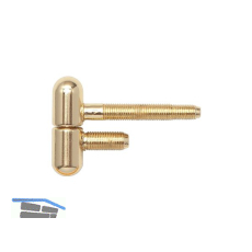 SFS Stahlzargenband 2-tlg. mit Rundkopf, � 16 mm, H�he 50,5mm, glanzvermessingt