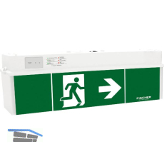 Rettungszeichenleuchte Notausgang gr�n, Geh�use wei�, 3h/8h Laufzeit