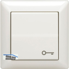 T�r�ffnertaster 1012 mit Schl�sselsymbol, Unterputz, Kunststoff wei�