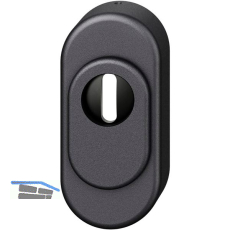 FSB Sicherheitsrosette 73 3249 oval PZ mit Kernziehschutz, Aluminium schwarz
