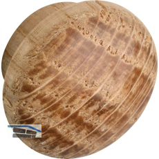Holzabdeckkappe � 14 mm, Zapfen � 10 mm, Zapfenl�nge 4 mm, Eiche roh