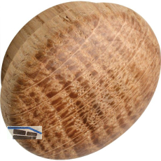 Holzabdeckkappe � 19 mm, Zapfen � 15 mm, Zapfenl�nge 4 mm, Eiche roh
