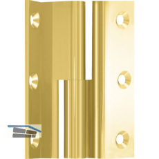 M�belband Kr�pfung D, Zylinderkopf links, 50x33 mm, Messing poliert