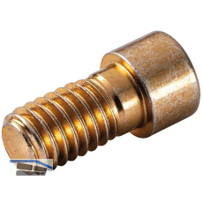 LAMELLO Cabineo 8 M6 Schraube, 8 mm x M6 Stahl gelb verzinkt, 500 Stk.