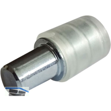 Glasbodentr�ger Luisa 5 mm Stahl verzinkt mit Kunststoffh�lse 100 Stk.