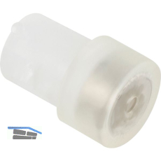 CONFURN Haftmagnet Gecko� E-MAG-1BB transparent