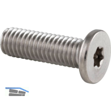 Zylinderschraube mit extrem niedrigem Kopf M 5x10 Torx 15 - Edelstahl A2