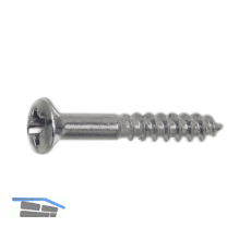 DIN7995 3.0 x 25 Pozidriv 1 Messing verchromt Holzschraube Linsensenkkopf