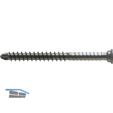 REISSER Terrassenbohrschraube RT5 5,5x 70 - Edelstahl A2 / inkl. Bit