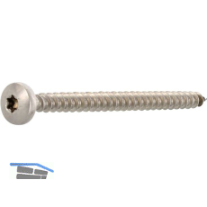 Spanplattenschraube Halbrundkopf 5.0x 45 Vollgewinde Torx 25 Edelstahl A2